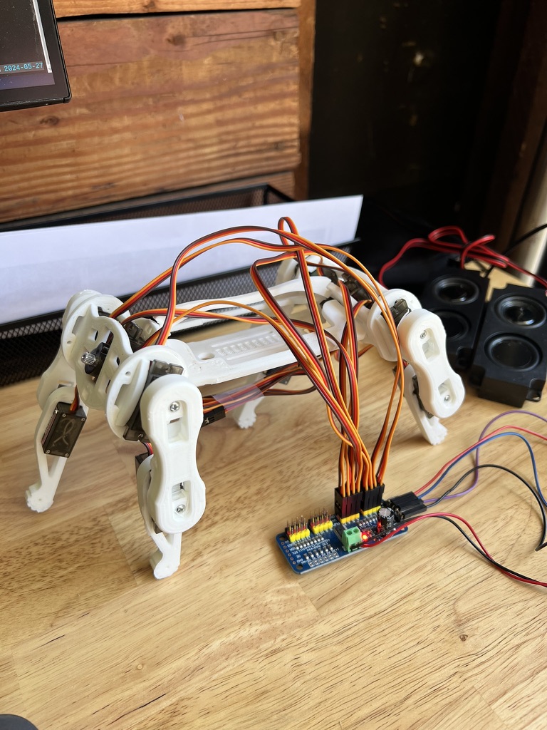 Echo E1 assembled quadruped robot